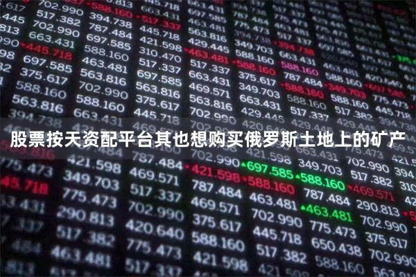 股票按天资配平台其也想购买俄罗斯土地上的矿产