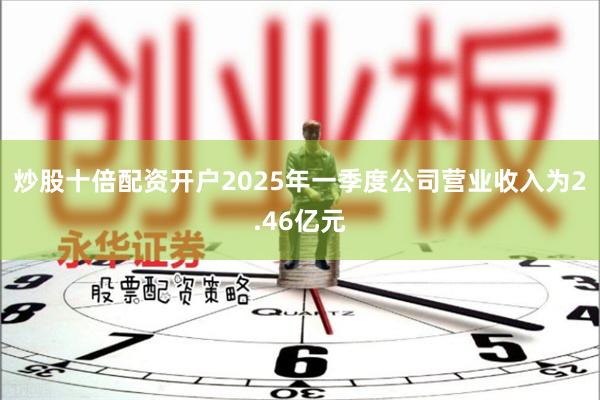 炒股十倍配资开户2025年一季度公司营业收入为2.46亿元
